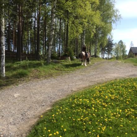 Grindhammaren B&B Ramsberg Экстерьер фото